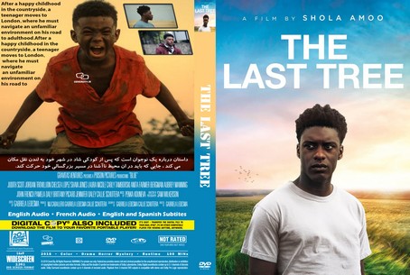 The Last Tree 2019