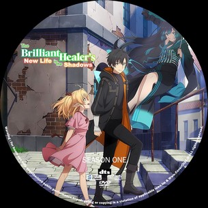 The Brilliant Healers New Life in the Shadows