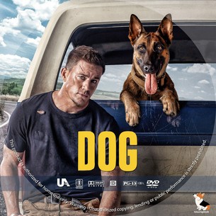 Dog 2022