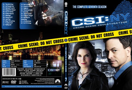 CSI NY Season 7
