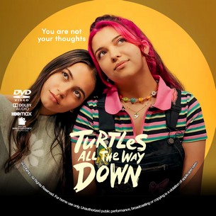 Turtles All the Way Down 2024