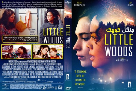 Little Woods 2018