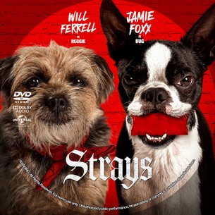 Strays 2023