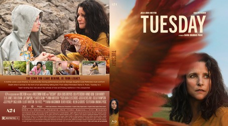 Tuesday 2023