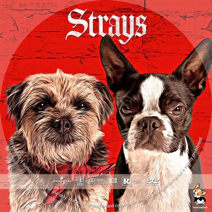 Strays 2023