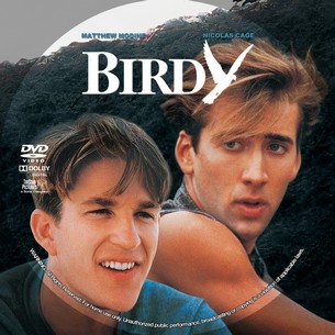 Birdy 1984