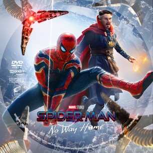 Spider Man No Way Home 2021