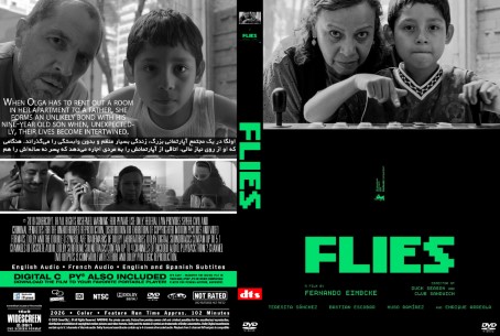 Flies 2026