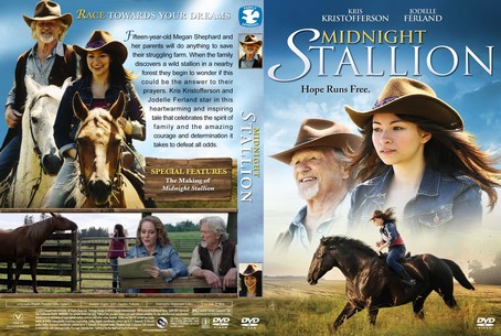 Midnight Stallion 2013