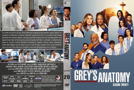Grey's Anatomy Season 20