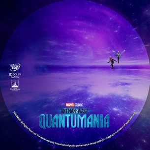 Ant Man and the Wasp Quantumania 2023