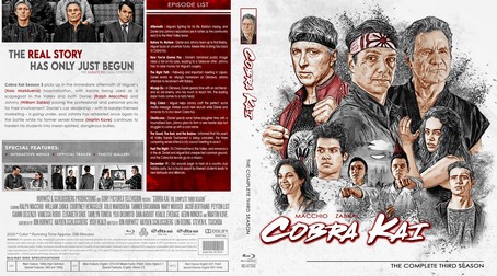 Cobra Kai Season 3