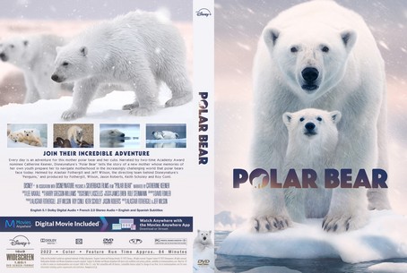 Polar Bear 2022