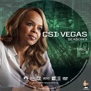 CSI Vegas Season 3