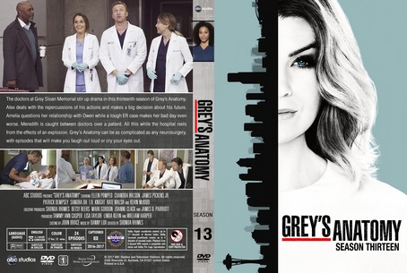 Grey's Anatomy Season 13