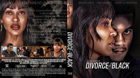Tyler Perry's Divorce in the Black 2024