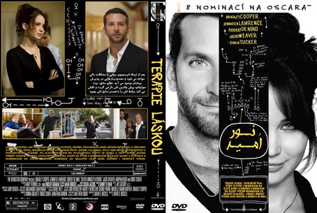 Silver Linings Playbook 2012