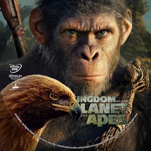 Kingdom of the Planet of the Apes 2024