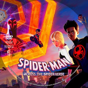 Spider Man Across the Spider Verse 2023