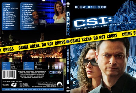 CSI NY Season 6