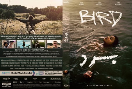 Bird 2024