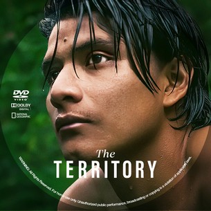 The Territory 2022