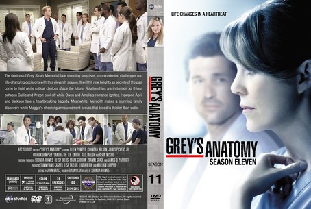 Grey's Anatomy Season 11