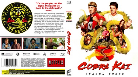Cobra Kai Season 3