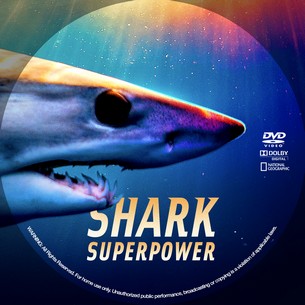 Shark Superpower 2022
