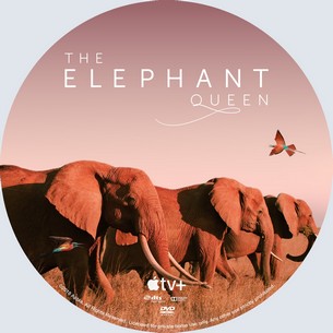 The Elephant Queen 2018