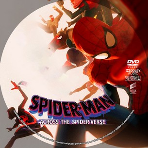 Spider Man Across the Spider Verse 2023