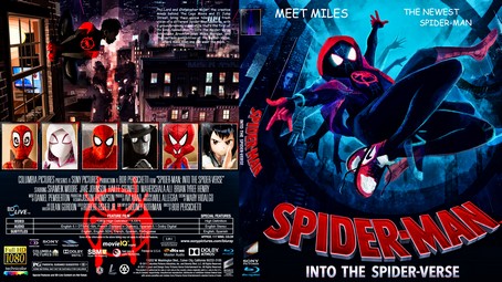 Spider Man Into the Spider Verse 2018