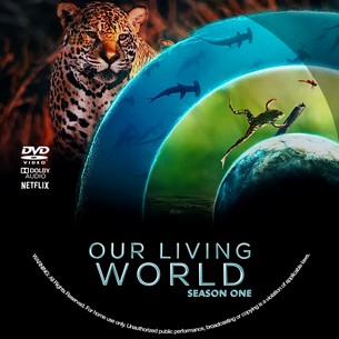 Our Living World Season 1