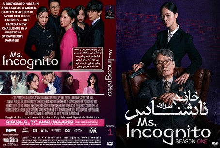 Ms. Incognito Season 1