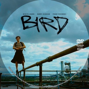 Bird 2024
