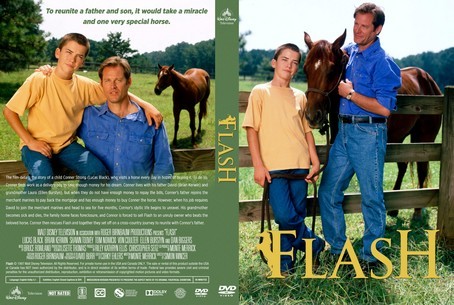 Flash 1997