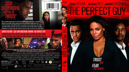 The Perfect Guy 2015