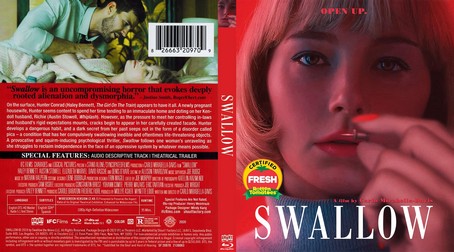 Swallow 2019