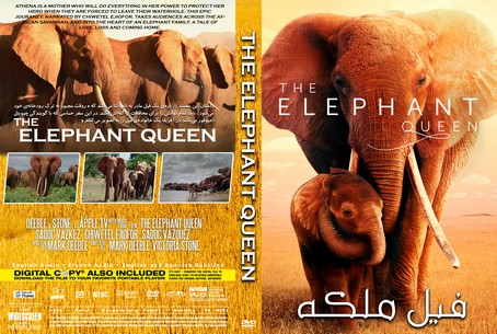 The Elephant Queen 2018
