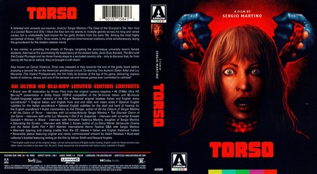 Torso 1973