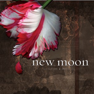 New Moon 2009