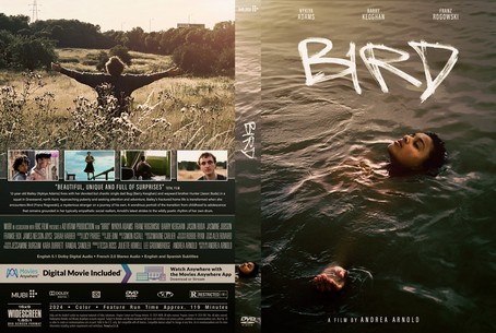 Bird 2024