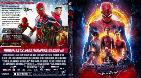 Spider Man No Way Home 2021