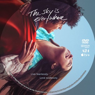 The Sky Is Everywhere 21022