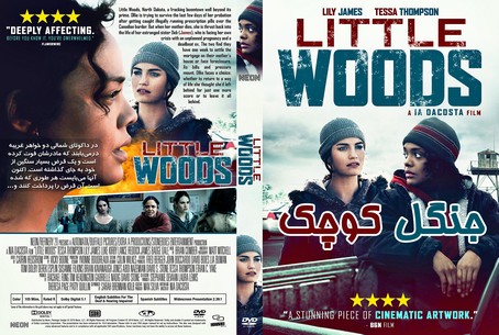 Little Woods 2018