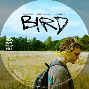 Bird 2024