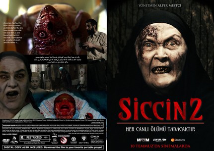 Siccin 2 2015