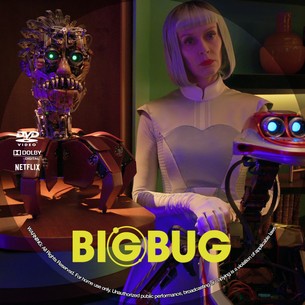 Big Bug 2022
