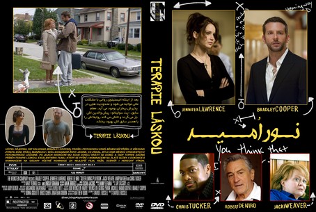 Silver Linings Playbook 2012