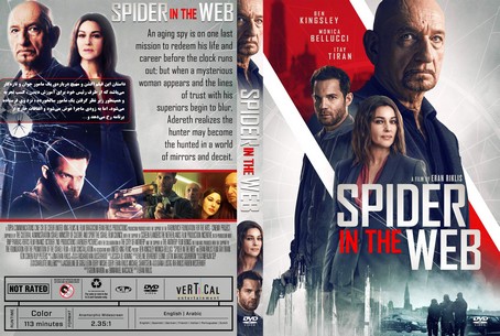 Spider in the Web 2019